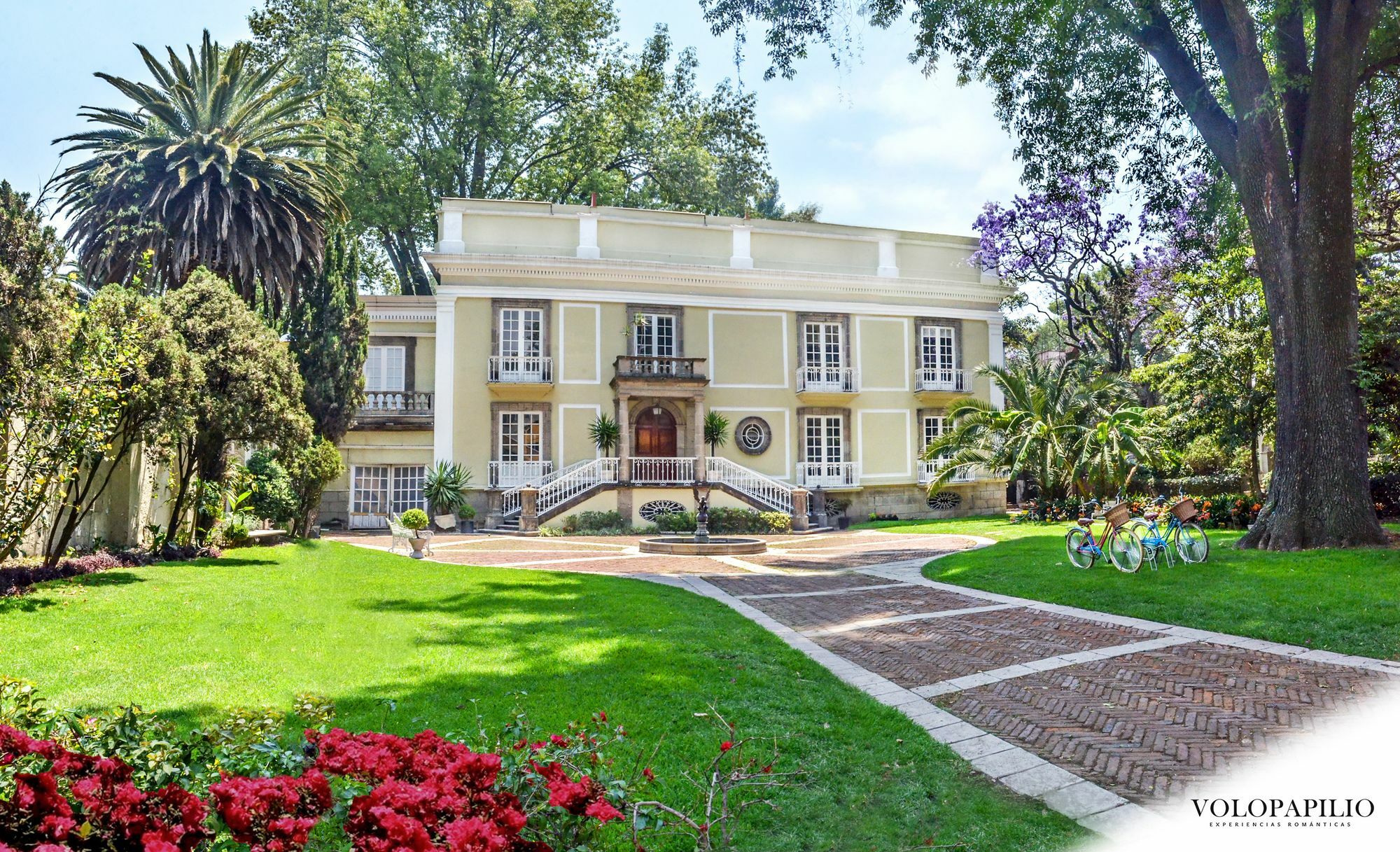 Bed and Breakfast Mansion Papilio Ciudad de México Exteriér fotografie